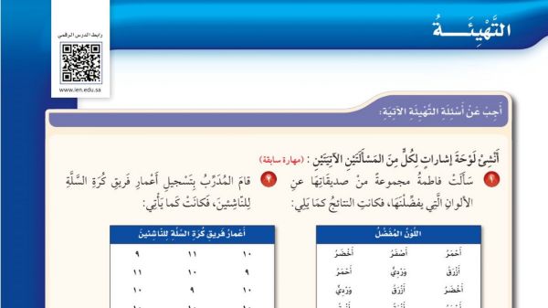 جمع البيانات وتنظيمها